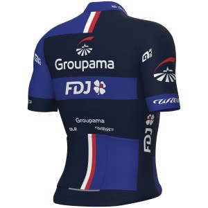 Ale Groupama FDJ 2024-jersey voor heren