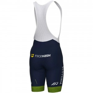 Heren Fietskleding Slovenië Nationaal 2024 Ale Korte Bib Shorts