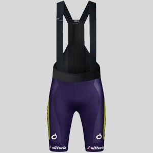 Heren Fietskleding Gobik Wilier Vittoria 2025 Absolute Print K10 Bib Tights