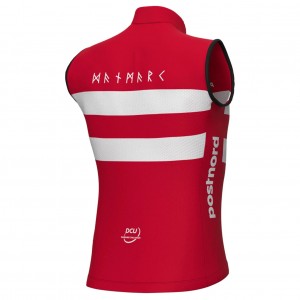 Heren Ale Deense Nationale Team Vest 2025