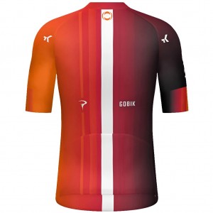 Heren Fietskleding Gobik Ineos Grenadiers 2025 Odyssey-shirt